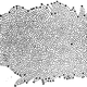 “On the construction of the heavens.” The shape of our Galaxy as deduced from star counts by William Herschel in 1785; drawn by Caroline Herschel. Read at the Royal Society, February 3, 1785. Image: Wikimedia Commons